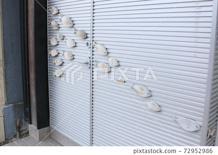 牆上魚群 72952986