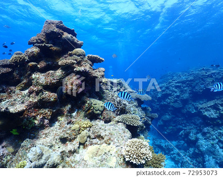 Beautiful clear blue sea and coral reef castle taken in the Kerama Islands Beautiful clear blue sea and coral reef castle taken in the Kerama Islands 72953073