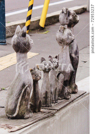 Cat statue 72953237