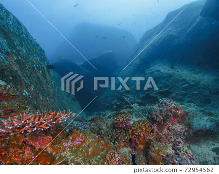 Topography of large rocks and coral in the sea (Similan Islands, Kingdom of Thailand) 72954562