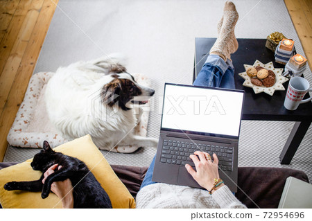 woman at home with dog hygge at Christmas time woman at home with dog hygge at Christmas time 72954696