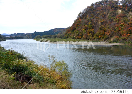 "Motoaikai" in the Mogami River "Motoaikai" in the Mogami River 72956314