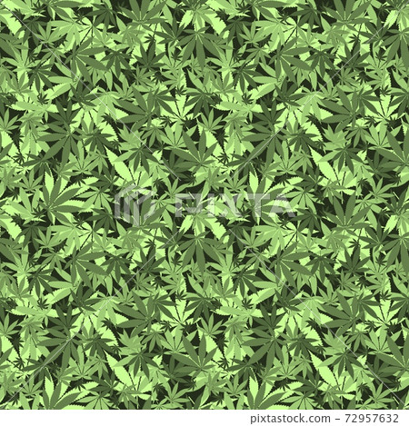 Seamless cannabis pattern with realistic leaves Seamless cannabis pattern with realistic leaves 72957632