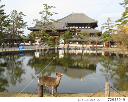 東大寺和一個鏡子池塘 東大寺和一個鏡子池塘 72957949