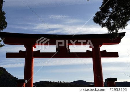 箱根神社首次拜訪紅牌坊石燈籠戶外祭拜天樹 箱根神社首次拜訪紅牌坊石燈籠戶外祭拜天樹 72958393