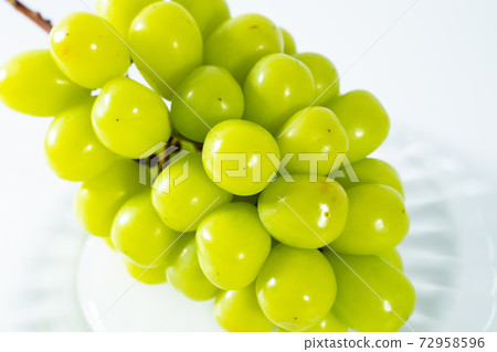 閃耀馬斯喀特 閃耀馬斯喀特 72958596