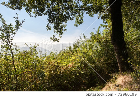 Haze in the hills 72960199