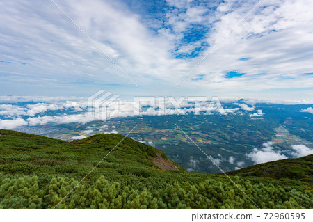 山羊蹄 照片素材 圖片 圖庫