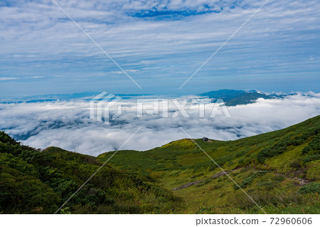 山羊蹄 山羊蹄 72960606