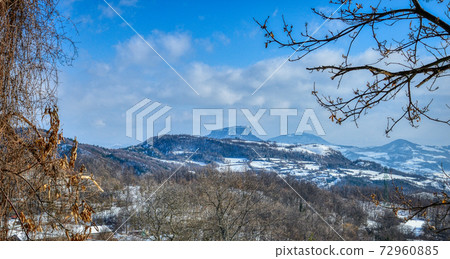 Park in winter 72960885