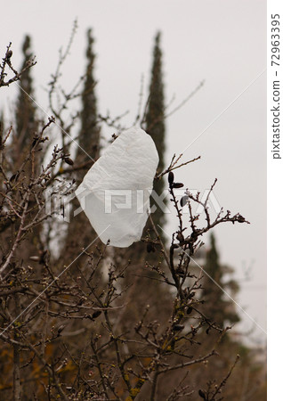 plastic bag on tree branches 72963395