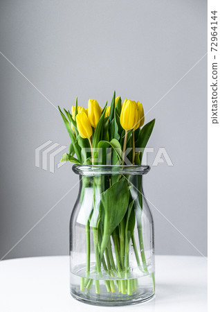 A bouquet of yellow Tulips in a glass vase on a gray background. Side view. Copy space A bouquet of yellow Tulips in a glass vase on a gray background. Side view. Copy space 72964144