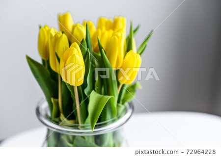 Transparent vase with yellow tulips on a gray background. Side view. Copy space 72964228