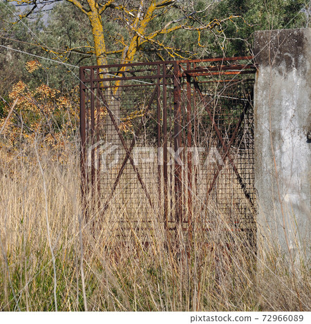 rusty gate overgrown plants 72966089