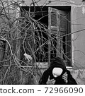 garden of time 72966090