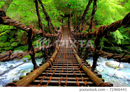 Okuiya Double Kazura Bridge ・ Image of starting to cross the Kazura Bridge with a sense of seclusion ・ Onnabashi ・ Shikoku ・ Iya, Miyoshi City, Tokushima Prefecture (8) 72966441