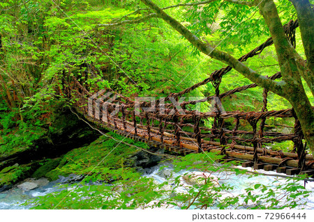 奧谷屋雙鶴橋・人工橋與自然和諧相處的鶴橋・恩那橋・四國・德島縣三好市伊谷（1） 72966444