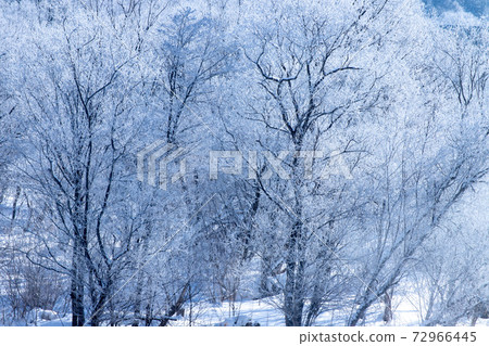 北海道冬季景觀富良野霧e 72966445