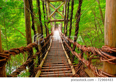 Okuiya Double Kazura Bridge ・ Image of starting to cross a long and high thrilling man bridge ・ Shikoku ・ Iya, Miyoshi City, Tokushima Prefecture (1) 72966483