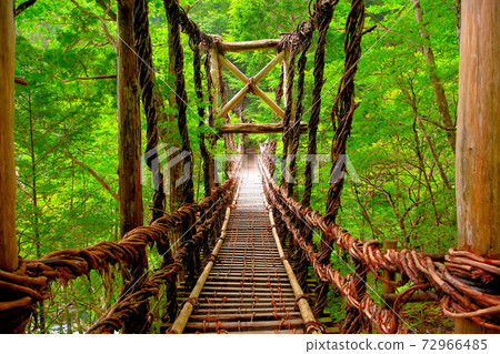 Okuiya Double Kazura Bridge ・ Image of starting to cross a long and high thrilling man bridge ・ Shikoku ・ Iya, Miyoshi City, Tokushima Prefecture (3) 72966485