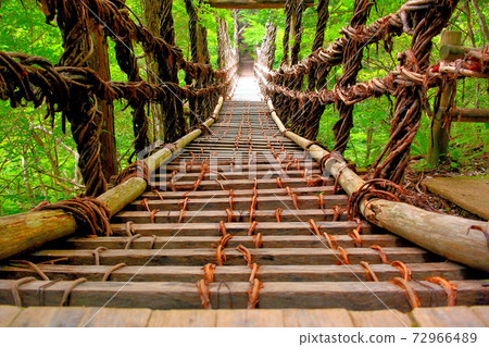 Okuiya Double Kazura Bridge ・ Image of starting to cross a long and high thrilling man bridge ・ Shikoku ・ Iya, Miyoshi City, Tokushima Prefecture (7) 72966489
