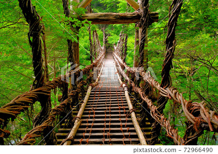 Okuiya Double Kazura Bridge ・ Proceed along the Otokobashi with large shaking ・ Shikoku ・ Iya, Miyoshi City, Tokushima Prefecture (1) 72966490