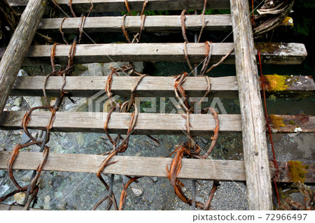 Okuiya Double Kazura Bridge ・ Overlooking the Soya Valley over a ladder-like tread board ・ Shikoku ・ Iya, Miyoshi City, Tokushima Prefecture (1) 72966497