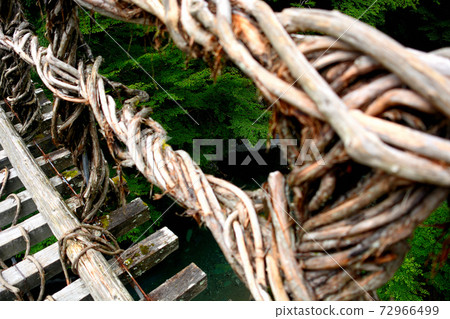 Okuiya Double Kazura Bridge ・ A thrilling view over the Kazura Bridge that people in the past would have seen ・ Shikoku, Miyoshi City, Tokushima Prefecture Iya (1) 72966499