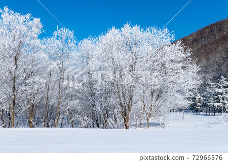 北海道冬季景觀富良野霧e 72966576