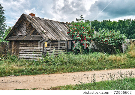 Old shack in the greenery against a gloomy sky. Abandoned old log house 72966602