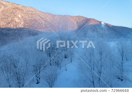 北海道冬季景觀富良野霧e 北海道冬季景觀富良野霧e 72966688