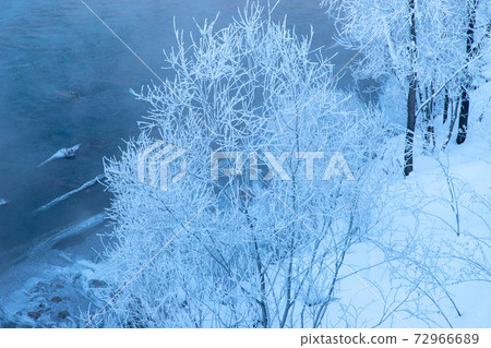 北海道冬季景觀富良野霧e 北海道冬季景觀富良野霧e 72966689