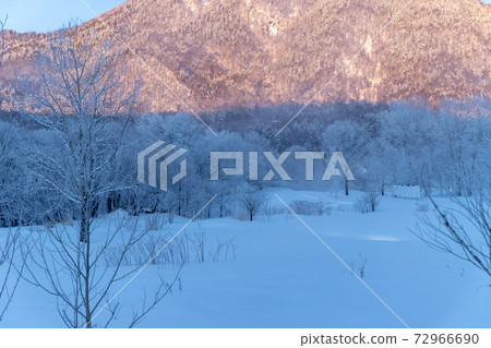 北海道冬季景觀富良野霧e 北海道冬季景觀富良野霧e 72966690