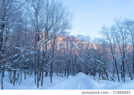 北海道冬季景觀富良野霧e 北海道冬季景觀富良野霧e 72966691