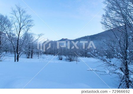 北海道冬季景觀富良野霧e 北海道冬季景觀富良野霧e 72966692