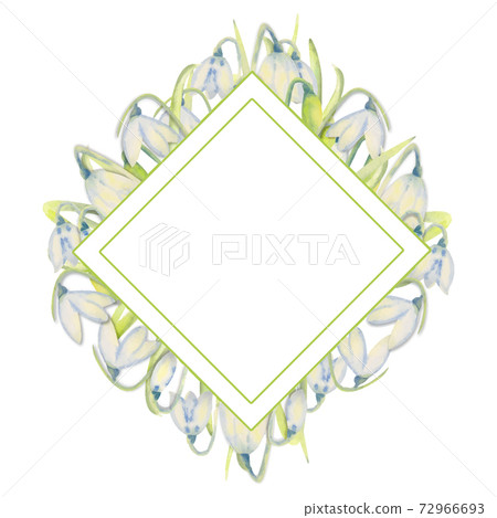 Romantic spring frame with snowdrops on the outer edge on a white isolated background. Watercolor painting. Romantic spring frame with snowdrops on the outer edge on a white isolated background. Watercolor painting. 72966693