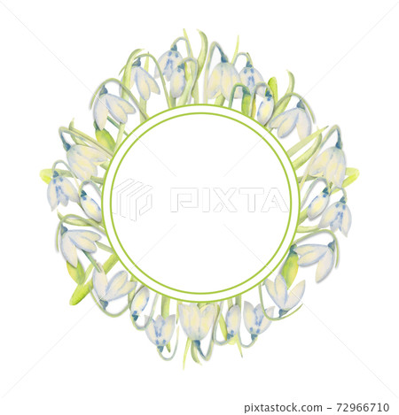 Romantic spring frame with snowdrops on the outer edge on a white isolated background. Watercolor painting. 72966710