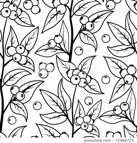 Seamless pattern with berries and leaves of snow berry. Vector illustration of a black outline on a white background 72966775