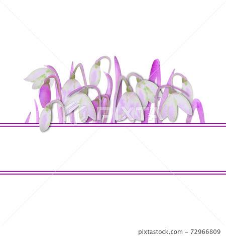 Romantic spring frame with snowdrops on the inner edge on a white isolated background. Watercolor illustration 72966809