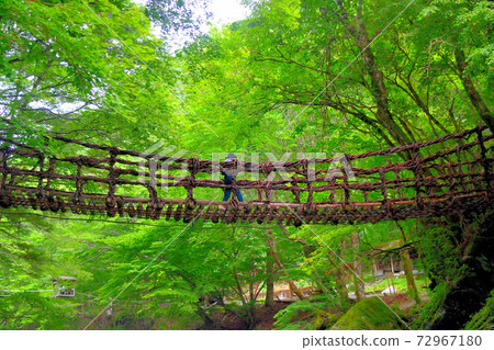 奧伊谷雙鴨橋·俯視時不能走路的遊客的形象·恩那橋·四國·德島縣三好市伊谷（2） 72967180