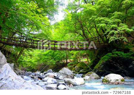 Okuiya Double Kazura Bridge ・ Beautiful view of Kazura Bridge in harmony with the Sotani Valley ・ Onnabashi ・ Shikoku ・ Iya, Miyoshi City, Tokushima Prefecture (1) Okuiya Double Kazura Bridge ・ Beautiful view of Kazura Bridge in harmony with the Sotani Valley ・ Onnabashi ・ Shikoku ・ Iya, Miyoshi City, Tokushima Prefecture (1) 72967188