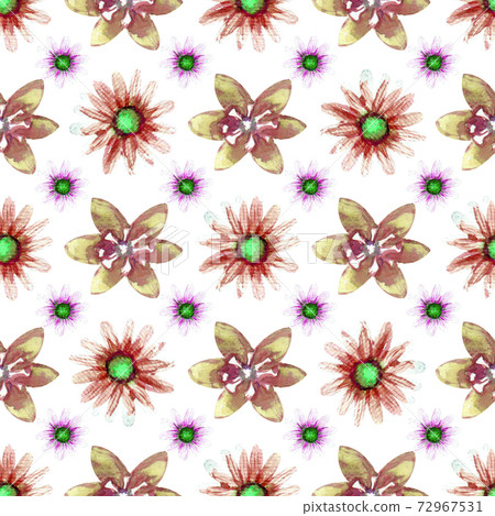 Seamless pattern with wildflowers on white background. Floral pattern for Wallpaper or fabric. Watercolor illustration. Element of packaging design, invitations, cards, etc Seamless pattern with wildflowers on white background. Floral pattern for Wallpaper or fabric. Watercolor illustration. Element of packaging design, invitations, cards, etc 72967531