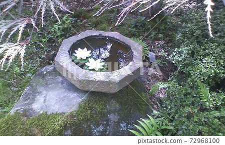 Water tank Water tank 72968100