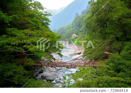 Kazura Bridge in Iya ・ Image of Kazura Bridge seen from Iya Valley Bridge ・ Shikoku ・ Nishiiya, Miyoshi City, Tokushima Prefecture (9) Kazura Bridge in Iya ・ Image of Kazura Bridge seen from Iya Valley Bridge ・ Shikoku ・ Nishiiya, Miyoshi City, Tokushima Prefecture (9) 72968419