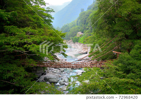 Kazura Bridge in Iya ・ Image of Kazura Bridge seen from Iya Valley Bridge ・ Shikoku ・ Nishiiya, Miyoshi City, Tokushima Prefecture (10) Kazura Bridge in Iya ・ Image of Kazura Bridge seen from Iya Valley Bridge ・ Shikoku ・ Nishiiya, Miyoshi City, Tokushima Prefecture (10) 72968420