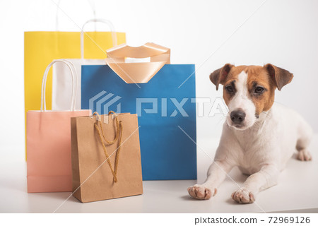 Jack russell terrier dog lies next to different paper bags on a white background. Sale season. 72969126
