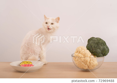 White cat diet choice. Comparison of proper nutrition and bad eating habits. Broccoli, cauliflower, or donuts 72969488
