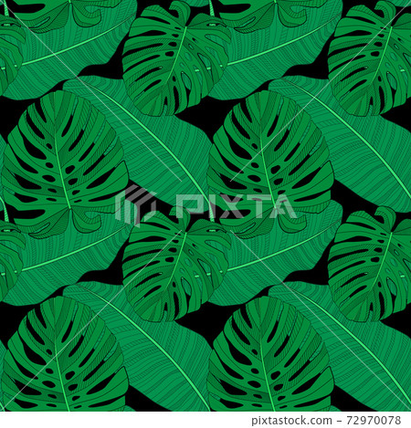 Abstract tropical palm leaf seamless pattern background. Vector Illustration 72970078
