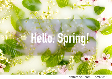 Flowers and leaves in white water background. Flowers and leaves in white water background. 72970580