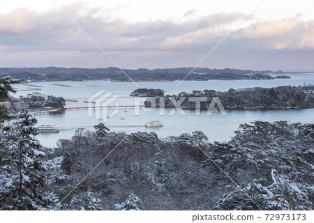 雪沒有鬆島 72973173
